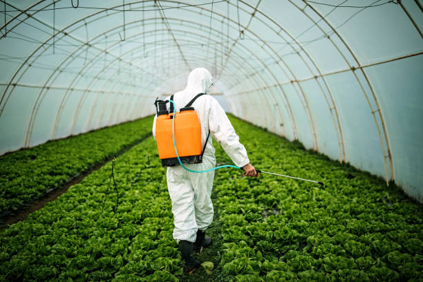 Best Best Pest Control Near Me  in Ida Grove, IA
