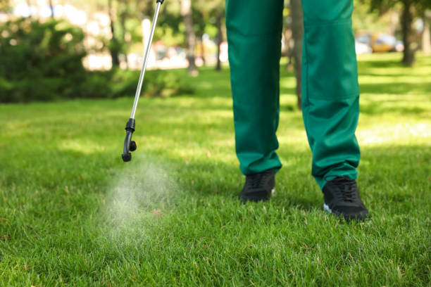 Reliable Ida Grove, IA Pest Control Solutions