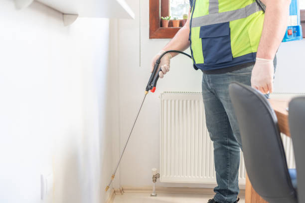 Best Ant Control Services  in Ida Grove, IA