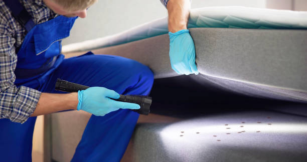 Best Ant Control Services  in Ida Grove, IA