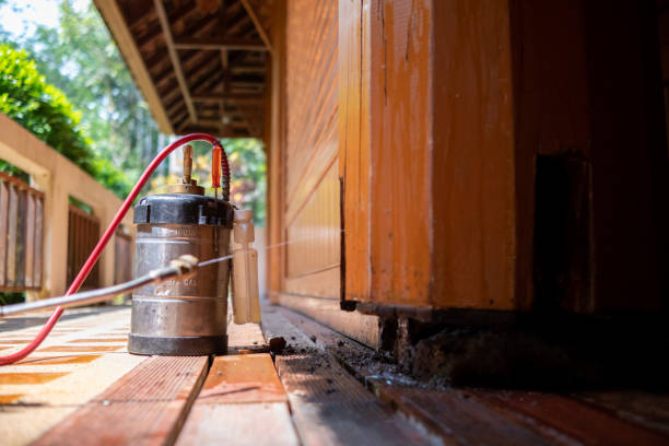 Best Cockroach Control Services  in Ida Grove, IA