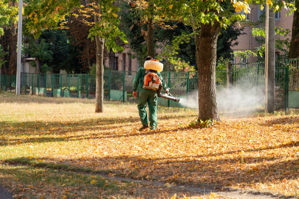 Flea Control Services in Ida Grove, IA
