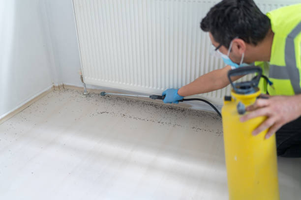 Best Pest Removal Services  in Ida Grove, IA