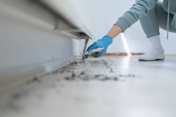 Trusted Ida Grove, IA Pest Control Experts