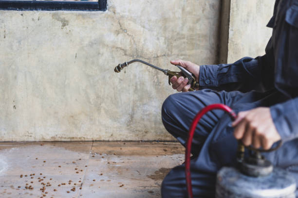 Best Best Pest Control Companies  in Ida Grove, IA